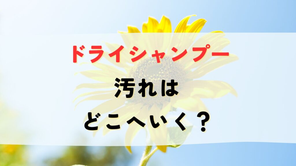 ドライシャンプーの汚れはどこへいくの？仕組み・原理をヘアケア開発者が解説